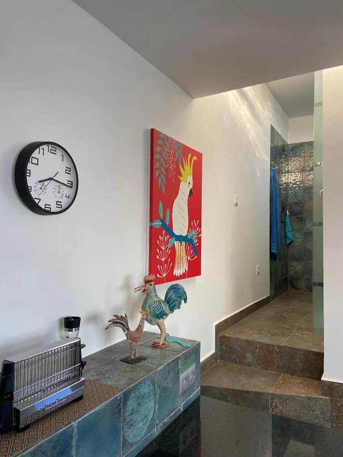 Villa Oasis La Paz - Acaymo Loft - Adults Only - Puerto de la Cruz