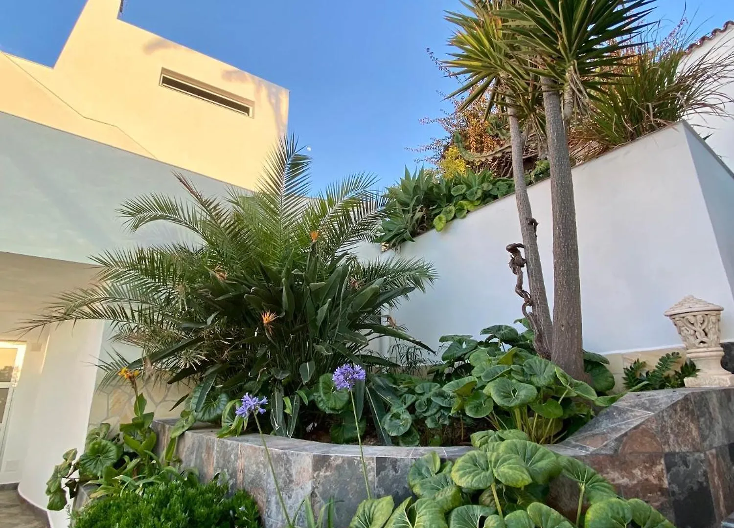 Villa Oasis La Paz - Acaymo Loft - Adults Only - Puerto de la Cruz